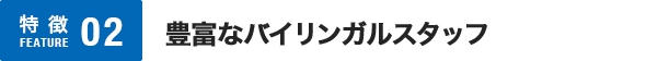 豊富なバイリンガルスタッフ